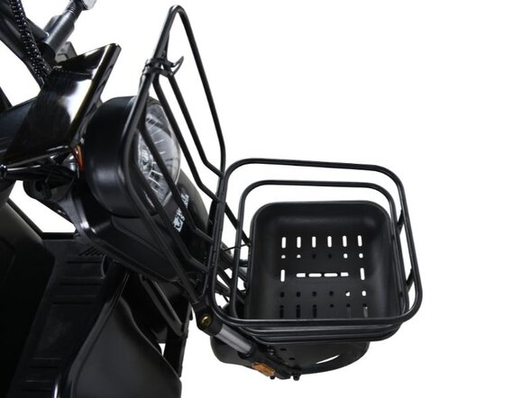 Электротрицикл White Siberia SIBTRIKE R 2000W